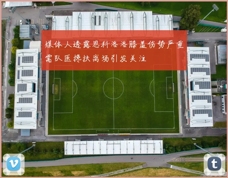 媒体人透露恩科洛洛膝盖伤势严重需队医搀扶离场引发关注